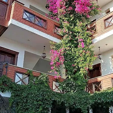 Mary's House 5*